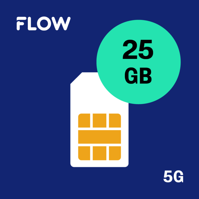 Mobilabonnemang 25 GB